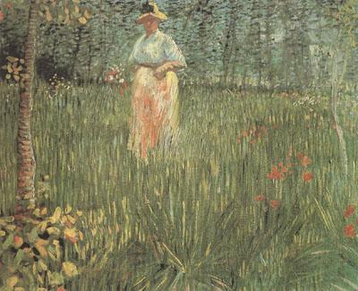 Vincent Van Gogh A Woman Walking in a Garden (nn04) China oil painting art